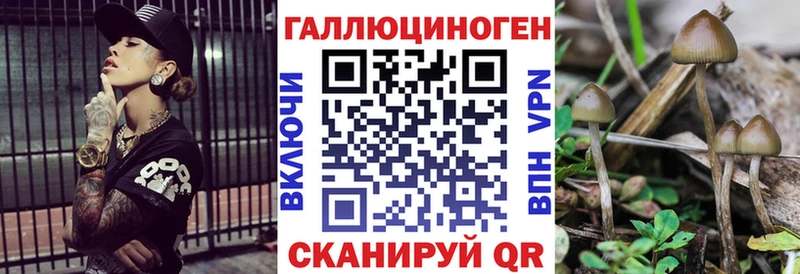 Галлюциногенные грибы Cubensis  где можно купить наркотик  Салаир 